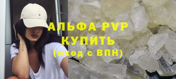 сатива Новодвинск