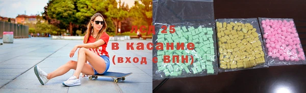 сатива Новодвинск