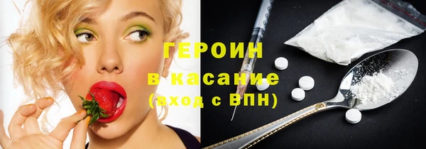 сатива Новодвинск