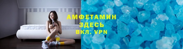 сатива Новодвинск