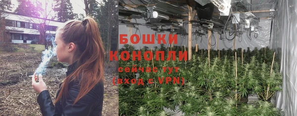 дмт Нея