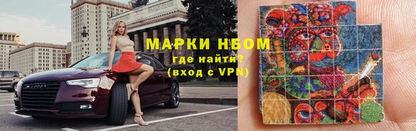 сатива Новодвинск