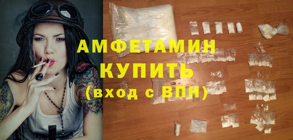 сатива Новодвинск