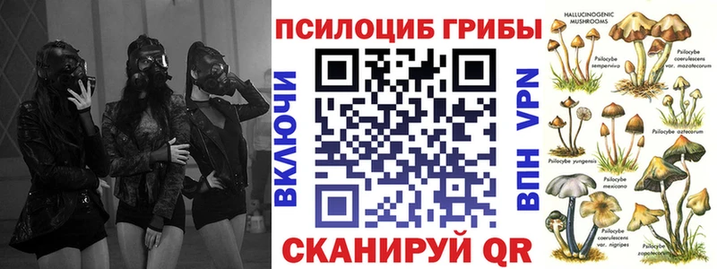 купить   Изобильный  Псилоцибиновые грибы MAGIC MUSHROOMS 